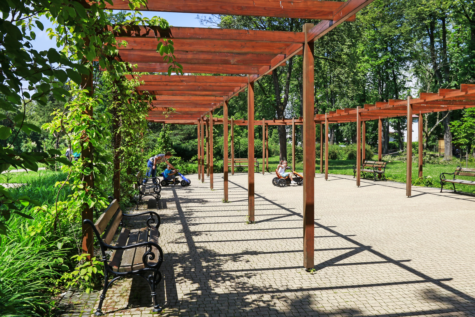 Kaj je pergola bioklimatska in njene prednosti
